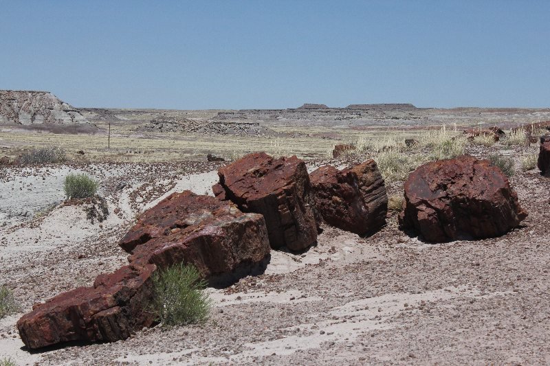 USA 2013 508